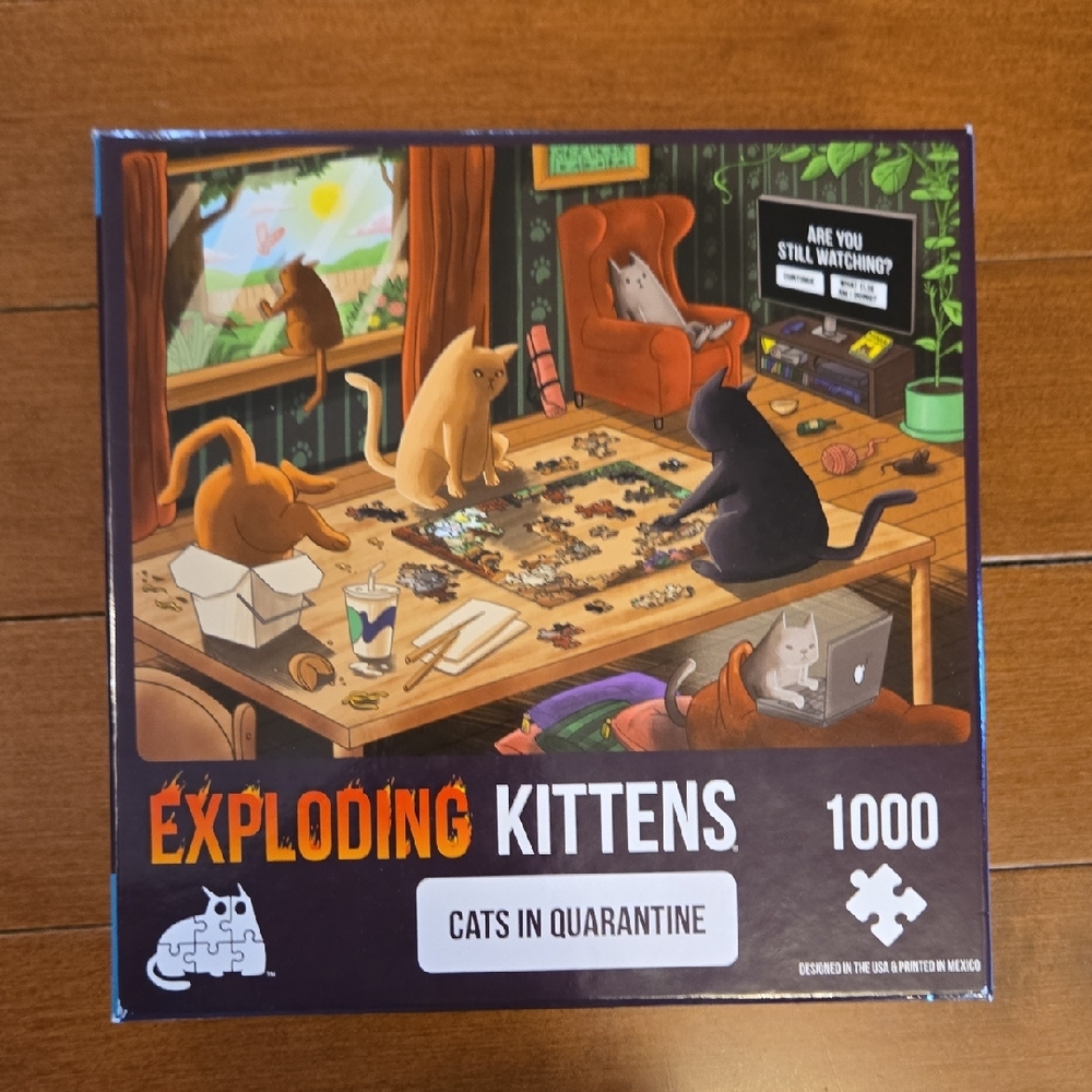 Exploding Kittens Cats in Quarantine Puzzle